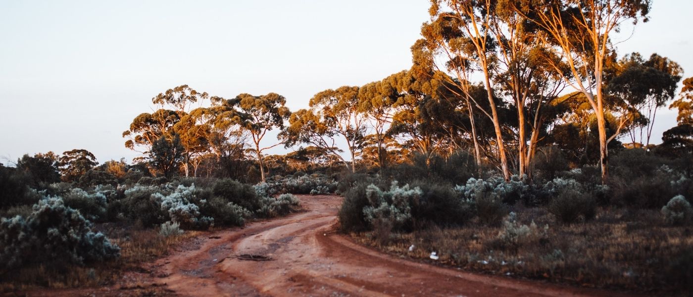 munda biddi trail in australia